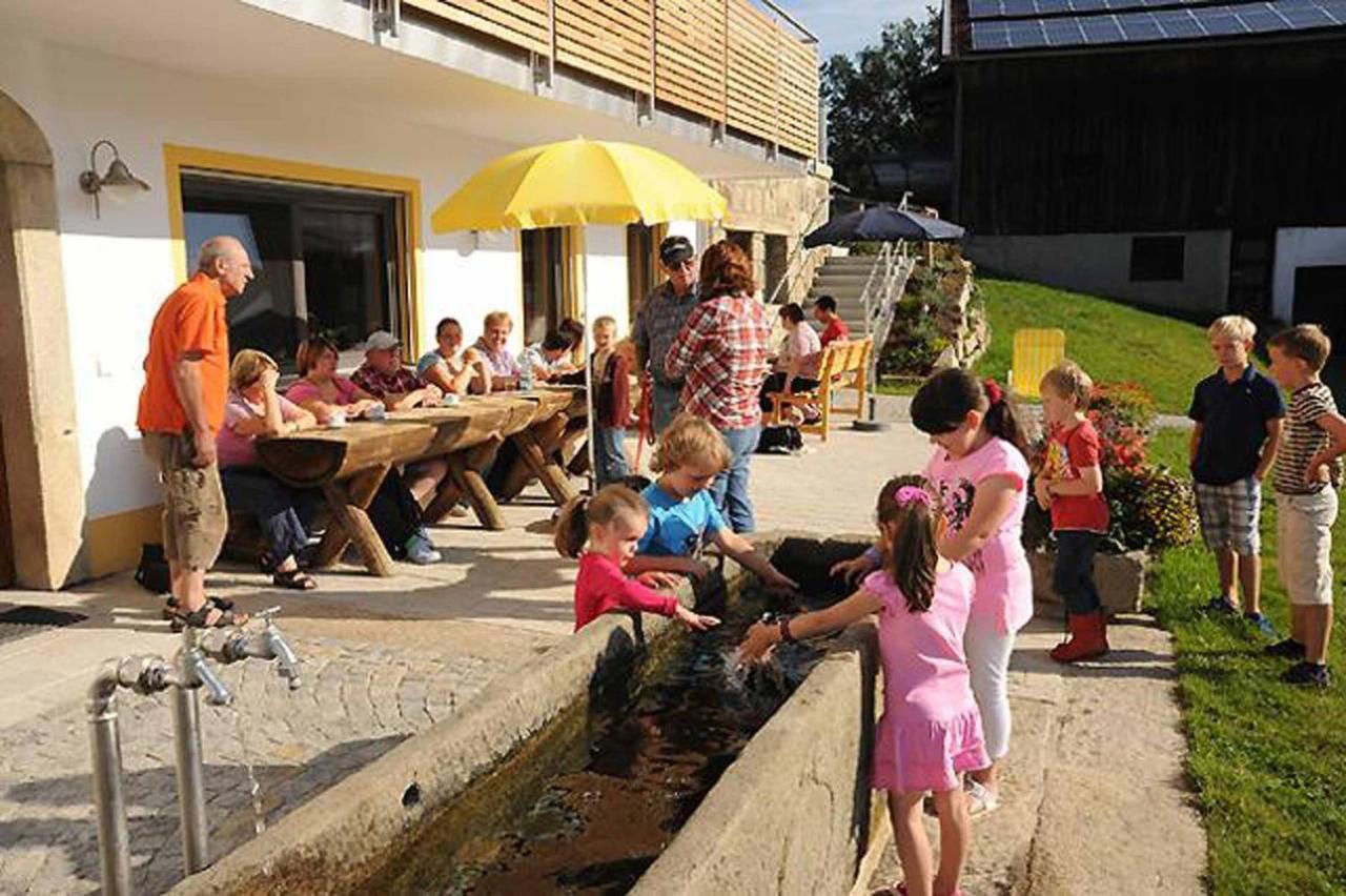 Exenbacher Hof Traumbauernhaus s´Haisl Arnbruck Exterior foto